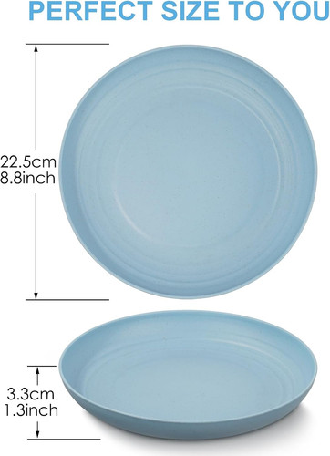 Unbreakable dinner plates - dinner,