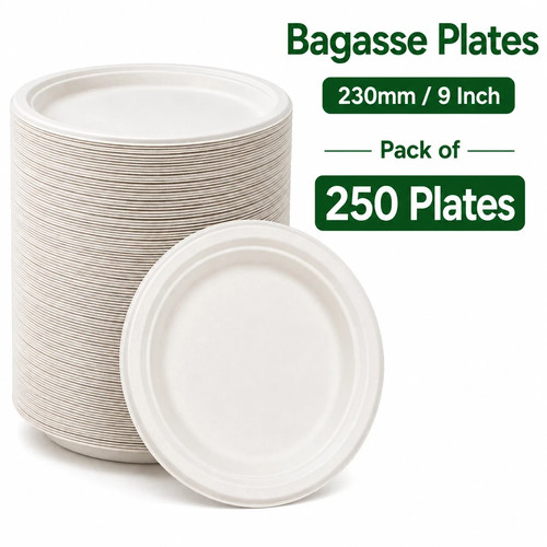 Pack 250 white bagasse - pack,
