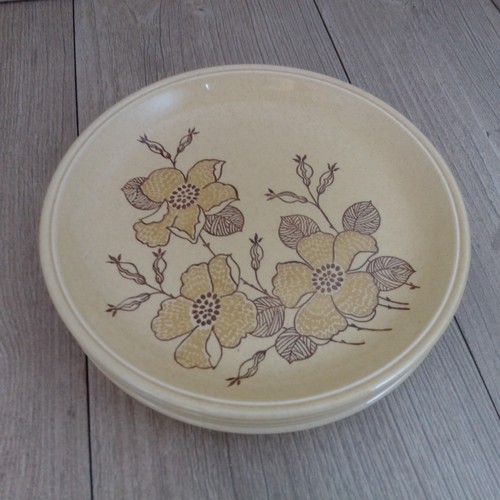 Biltons dinner plates - biltons, 24cm